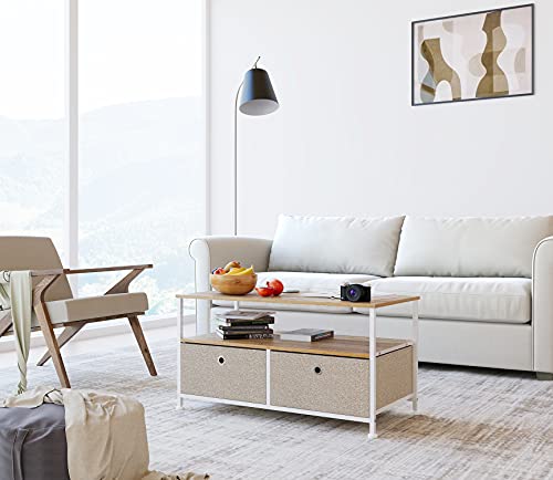 Table-Basse-Petite-Table-Dappoint-Table-a-Cafe-avec-2-Tiroir-et-1-tagres-Rectangulaire-Meuble-de-Rangement-Metallique-pour-Salon-Design-Moderne-Pieds-Rglables-BoisAcier-0-0