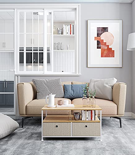 Table-Basse-Petite-Table-Dappoint-Table-a-Cafe-avec-2-Tiroir-et-1-tagres-Rectangulaire-Meuble-de-Rangement-Metallique-pour-Salon-Design-Moderne-Pieds-Rglables-BoisAcier-0-1