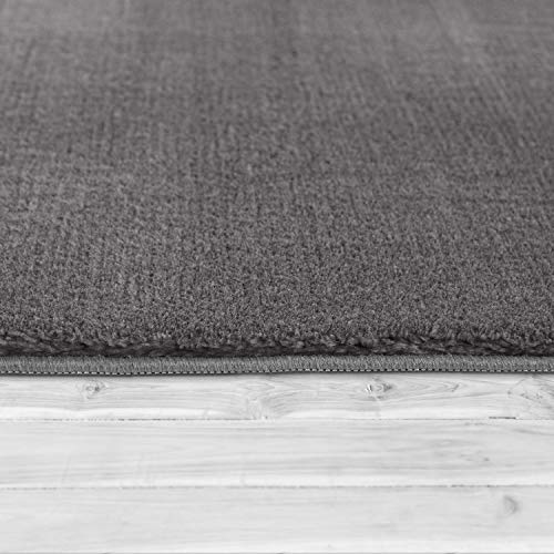 Tapis-de-Salon-Unicolore-Lavable-Pile-Courte-et-Douce-0-0