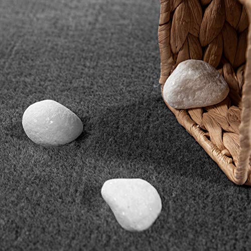 Tapis-de-Salon-Unicolore-Lavable-Pile-Courte-et-Douce-0-1