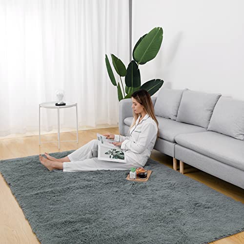 Vamcheer-Tapis-Salon-0-0