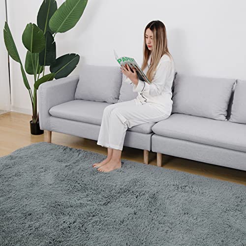 Vamcheer-Tapis-Salon-0-1
