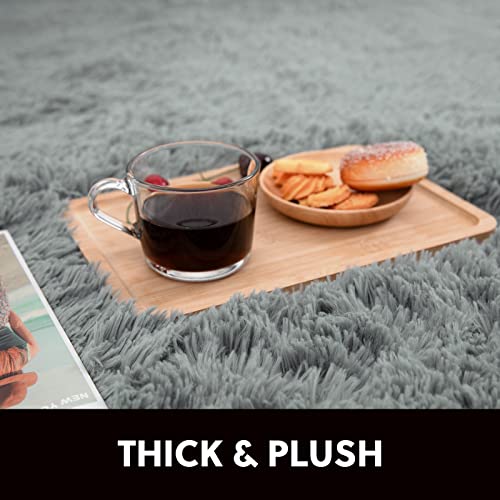 Vamcheer-Tapis-Salon-0-2