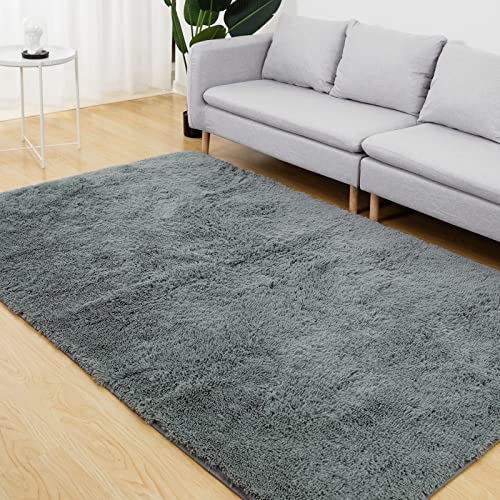 Vamcheer-Tapis-Salon-0