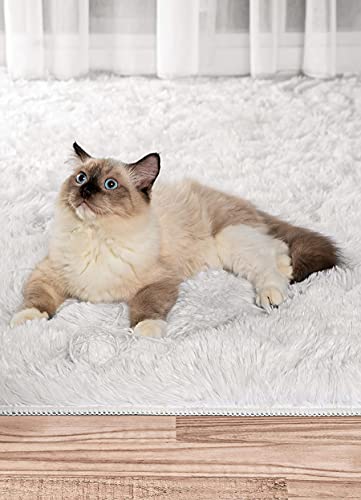 ROHATIM-Tapis-Salon-Shaggy-Descente-de-lit-Chambre-Grande-Taille-Tapis-Moelleux-Carpette-pour-Chambre-Tapis-Dcoratif-de-Style-Moderne-pour-Salon-Chambre-Canap-Natte-0-0